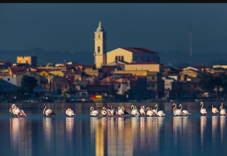 Casale Villa Giulia Marina Di Lesina Exterior photo